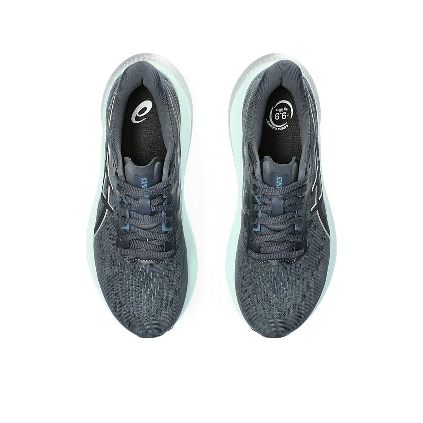 ASICS GT 2000 12 Women 's Running shoes Tarmac/Pure Silver Size 9.5 WIDE